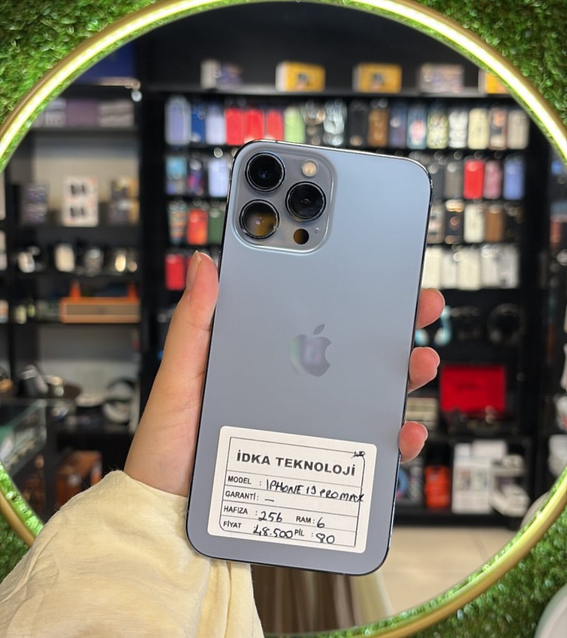 Apple iPhone 13 Pro Max