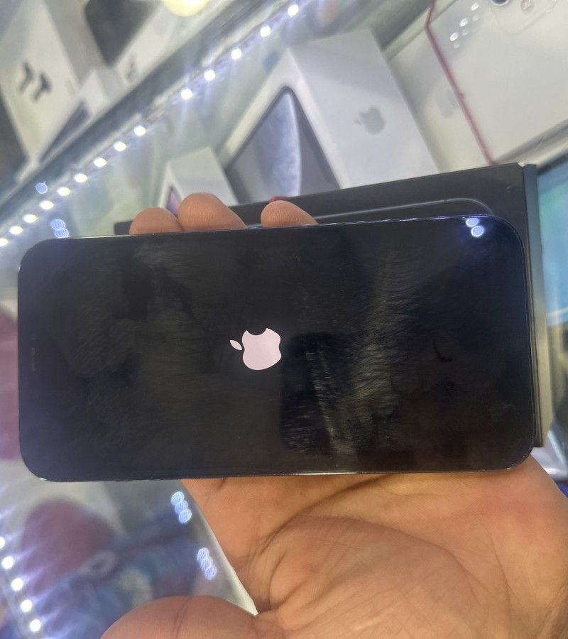 Apple iPhone 12 Pro Max