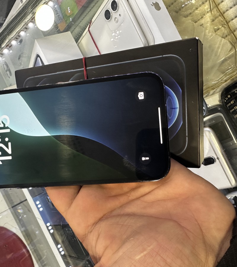 Apple iPhone 12 Pro Max